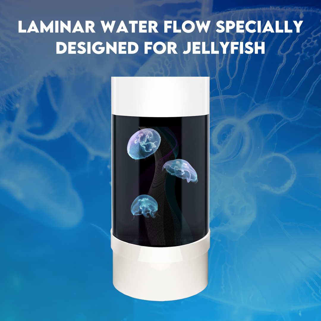 *Upsized* - Jelly Cylinder 5 - Diamond White - (3 Lg. Jellyfish Kit)