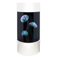 Load image into Gallery viewer, Jelly Cylinder Nano® Aquarium - Best Low Maintenance Pet for Small Spaces, Perfect for Apartments, Kids, and Busy People, with Supplies for Saltwater Jellyfish Setup
Live Jellyfish Aquarium for Sale - Unique Household Pet, Low Maintenance, and Easy to Own, Ideal for Offices and Small Spaces
Cylinder Jellyfish Aquarium Kit - Unique Pet Gift with Items for Jellyfish Tank Setup, Including LED Light and JellyBio Starter for Water Cycling