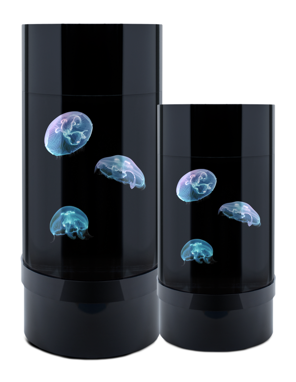 Desktop Jellyfish Aquarium - Real Jellyfish in a Low Maintenance Saltwater Tank for Small Spaces, Suitable for Kids and Elderly
Best Jellyfish Aquarium for Small Spaces - Low Maintenance Pets for Busy People with Step-by-Step Instructions for Setup
Mini Jellyfish Aquarium - Unique Pets for Sale, Perfect for Apartments, Offices, and as a Cool Unique Pet Gift
Realistic Jellyfish Aquarium with LED Lights - Unique House Pets for Small Spaces, Low Maintenance and Easy to Set Up