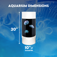 Load image into Gallery viewer, Home Jellyfish Aquarium - Desktop Aquarium for Real Jellyfish, Great for Small Spaces and Stress Relief
Jellyfish Cylinder Nano Aquarium - Unique Pet Fish Setup with Low Maintenance and Supplies List for Beginners
Jellyfish Aquarium Starter Kit - Unique Pets to Own, Includes Hydrometer, JellyBio Starter, and Chemi-Pure Blue for Saltwater Maintenance
Low Maintenance Pets - Jellyfish Aquarium for Apartments and Offices, Perfect for Elderly and Kids, Cool Unique Pets for Sale