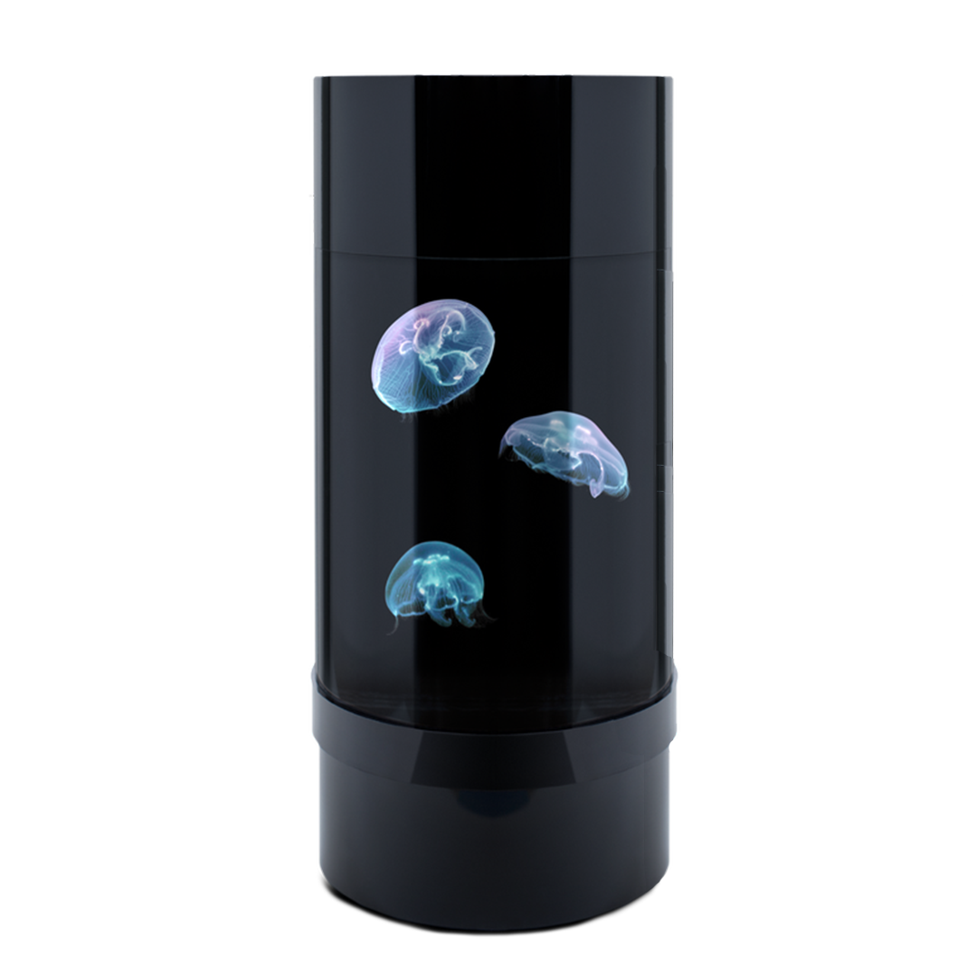 Jelly Cylinder Nano® Aquarium - Best Low Maintenance Pet for Small Spaces, Perfect for Apartments, Kids, and Busy People, with Supplies for Saltwater Jellyfish Setup
Live Jellyfish Aquarium for Sale - Unique Household Pet, Low Maintenance, and Easy to Own, Ideal for Offices and Small Spaces
Cylinder Jellyfish Aquarium Kit - Unique Pet Gift with Items for Jellyfish Tank Setup, Including LED Light and JellyBio Starter for Water Cycling