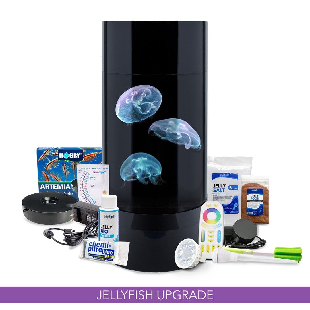 *Upsized* - Jelly Cylinder 5 - Black (3 Lg. Jelly Kit)