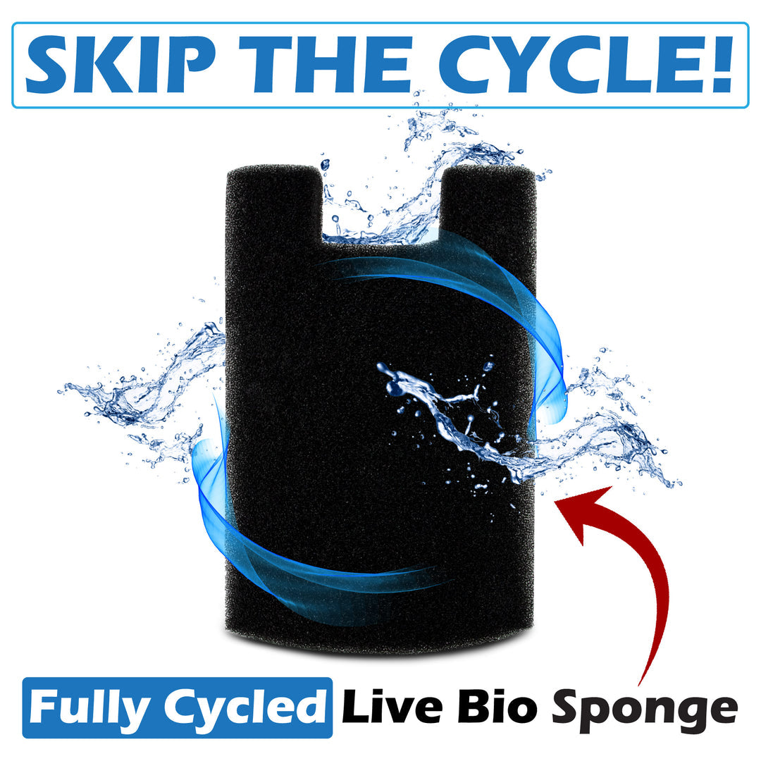 Jelly Cylinder Nano - Skip the Cycle kit!