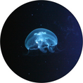 Load image into Gallery viewer, Small Moon Jellyfish