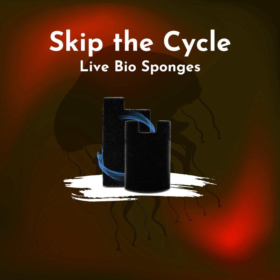Instantly Cycle your Aquarium!