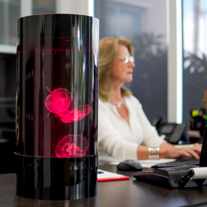 Jelly Cylinder Nano®