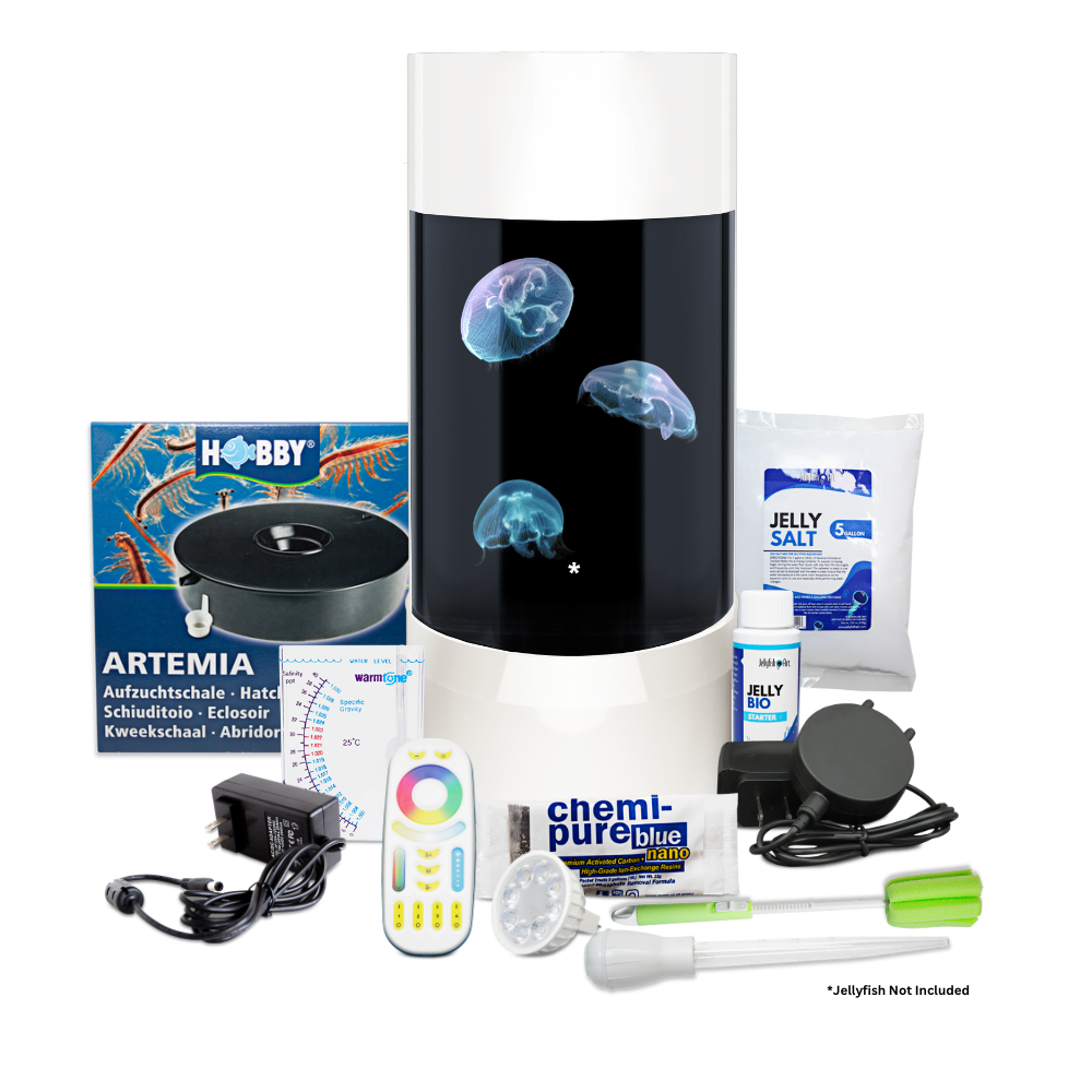 Jelly Cylinder 5 Diamond White  (Aquarium Only)