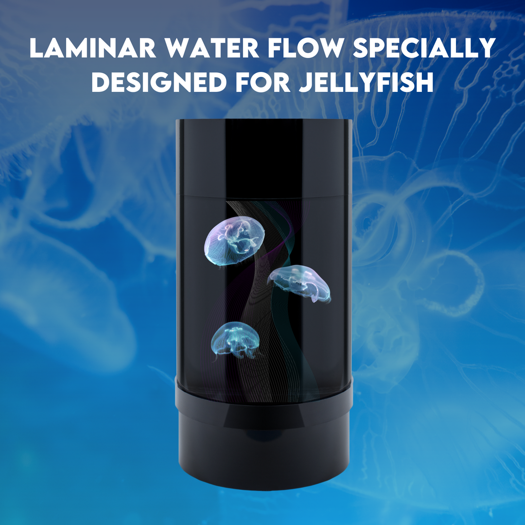 Jellyfish tank sales