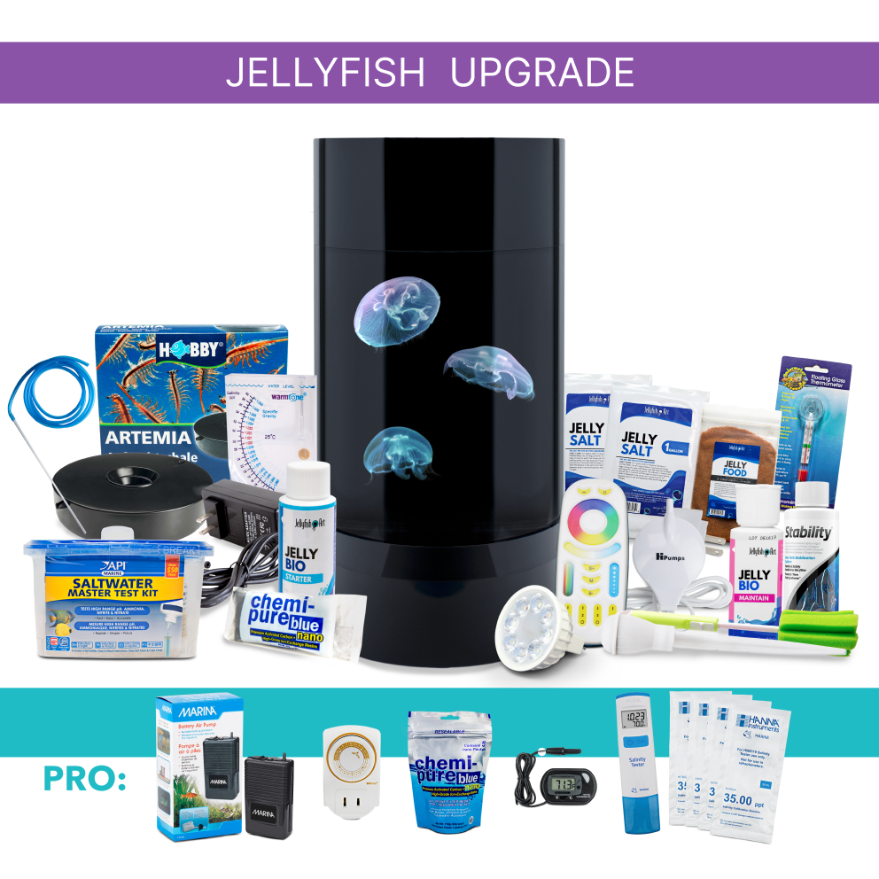 Jelly Cylinder 5 (Black) – 5 Gallon - Includes Upsized Jellyfish & Starter Kit