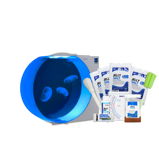 Kreisel 10 Jellyfish Aquarium Kit (with jellyfish code)