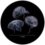 Load image into Gallery viewer, Nano Jellyfish Package - Build Your Own Kit