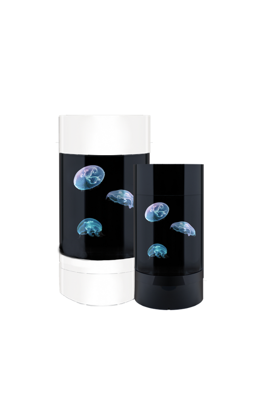 Desktop Jellyfish Aquarium - Real Jellyfish in a Low Maintenance Saltwater Tank for Small Spaces, Suitable for Kids and Elderly
Best Jellyfish Aquarium for Small Spaces - Low Maintenance Pets for Busy People with Step-by-Step Instructions for Setup
Mini Jellyfish Aquarium - Unique Pets for Sale, Perfect for Apartments, Offices, and as a Cool Unique Pet Gift
Realistic Jellyfish Aquarium with LED Lights - Unique House Pets for Small Spaces, Low Maintenance and Easy to Set Up