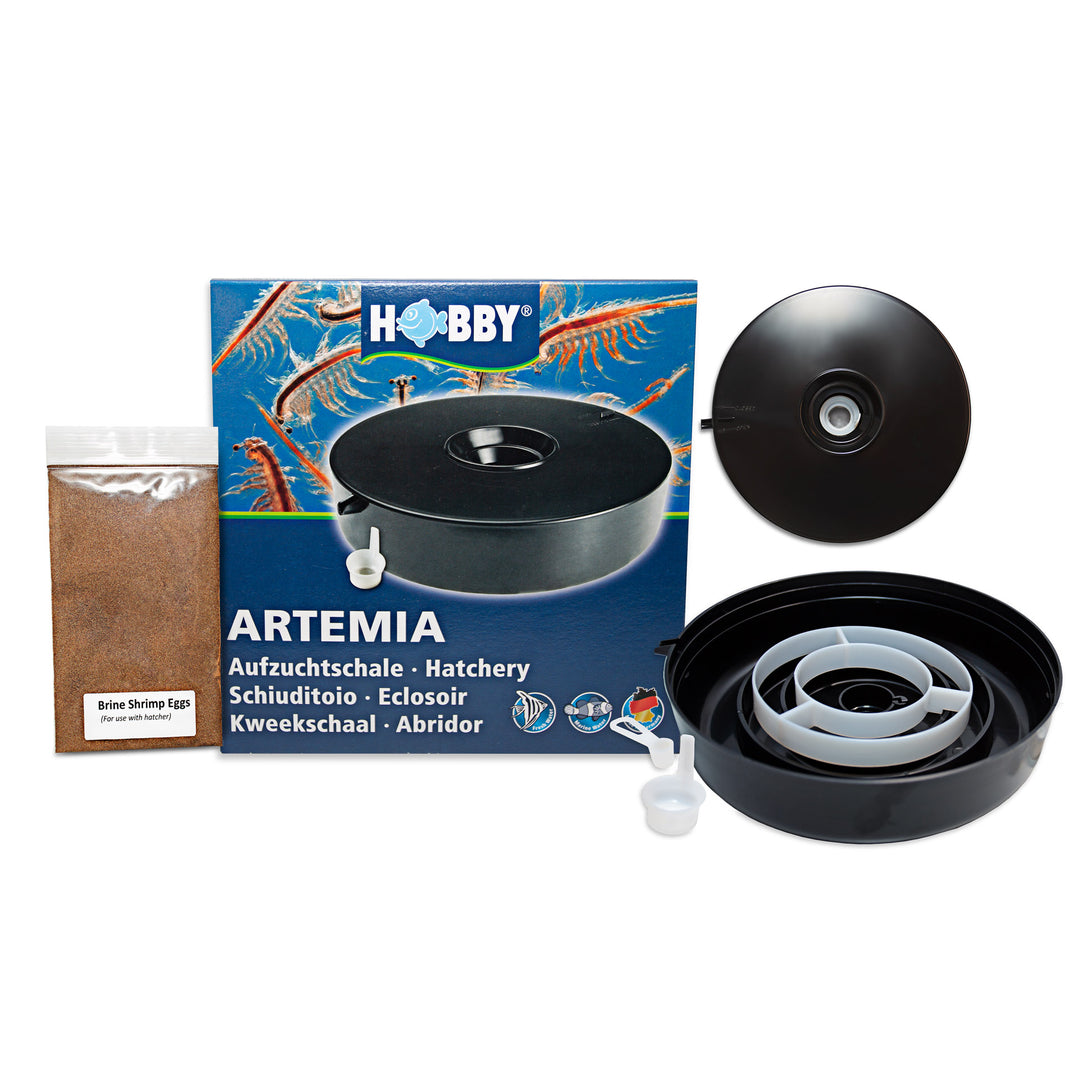 Artemia Hatchery Kit With Eggs