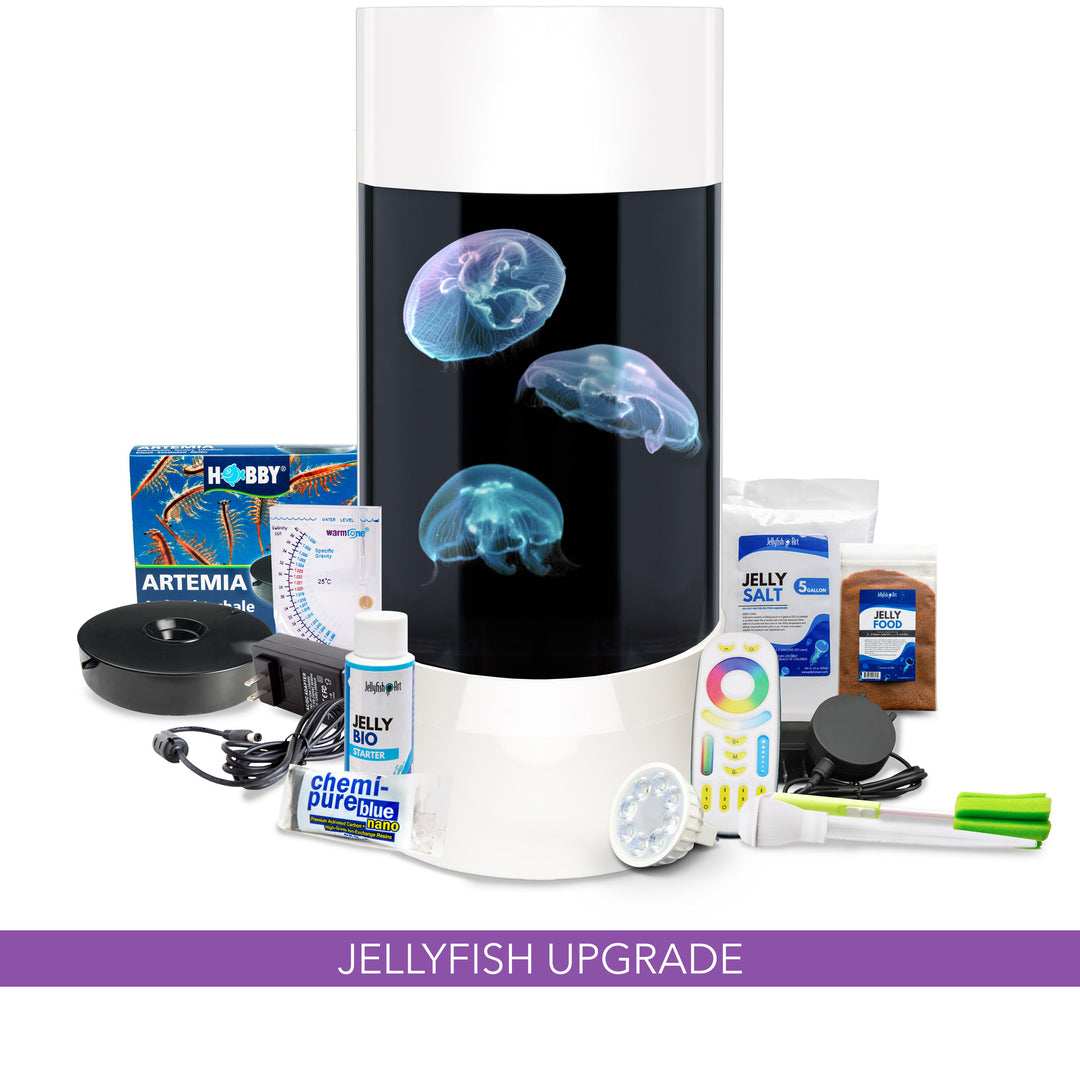 *Upsized* - Jelly Cylinder 5 - Diamond White - (3 Lg. Jellyfish Kit)