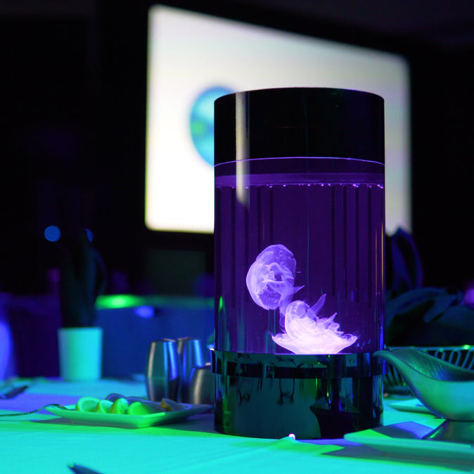 Jelly Cylinder Nano®