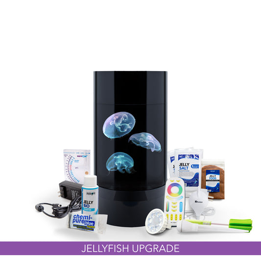 Jelly Cylinder Nano® Aquarium - Best Low Maintenance Pet for Small Spaces, Perfect for Apartments, Kids, and Busy People, with Supplies for Saltwater Jellyfish Setup
Live Jellyfish Aquarium for Sale - Unique Household Pet, Low Maintenance, and Easy to Own, Ideal for Offices and Small Spaces
Cylinder Jellyfish Aquarium Kit - Unique Pet Gift with Items for Jellyfish Tank Setup, Including LED Light and JellyBio Starter for Water Cycling

