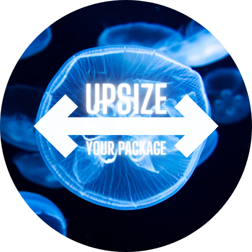 UPSIZE YOUR JELLYFISH PACKAGE!